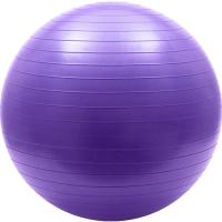 FBA-45-4 Мяч гимнастический Anti-Burst 45 см (фиолетовый)