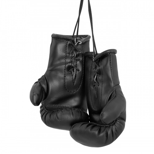 AG-1008FKR Сувенирные боксерские перчатки Федерация Кикбоксинга России черные
