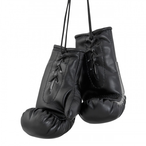 AG-1008FBR Сувенирные боксерские перчатки Федерация Бокса России черные