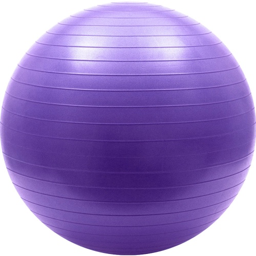 FBA-75-4 Мяч гимнастический Anti-Burst 65 см (фиолетовый)