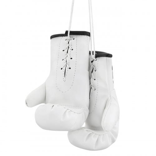 MG-1004FKR Сувенирные боксерские перчатки Федерация Кикбоксинга России белые