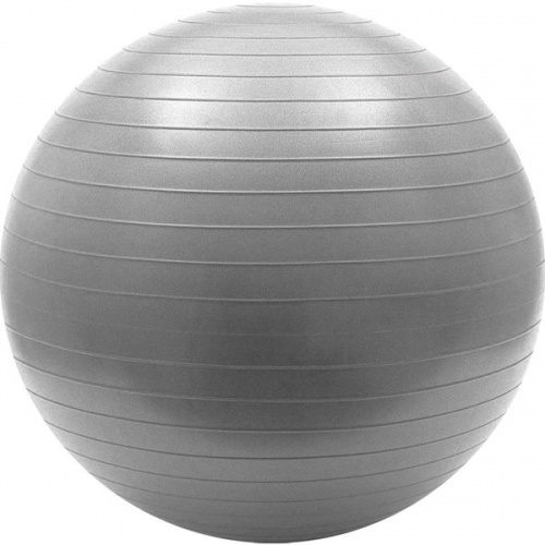 FBA-65-6 Мяч гимнастический Anti-Burst 55 см (серый)