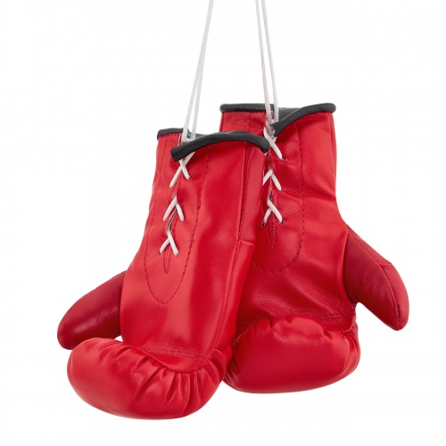 AG-1008FKR Сувенирные боксерские перчатки Федерация Кикбоксинга России красные