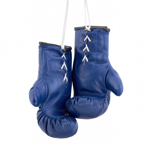 MG-1004FKR Сувенирные боксерские перчатки Федерация Кикбоксинга России синие